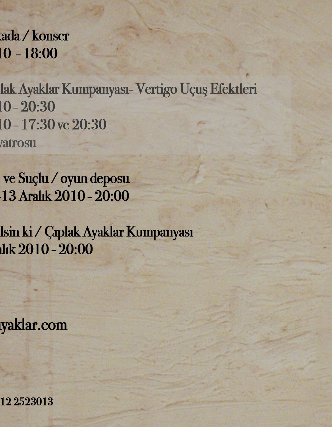 flyer 2010 kasım aralık arka