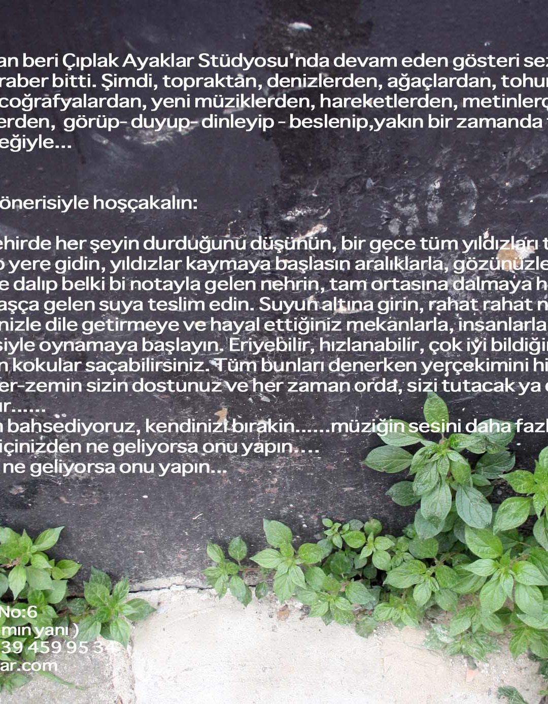 flyer 2011 mayıs arka