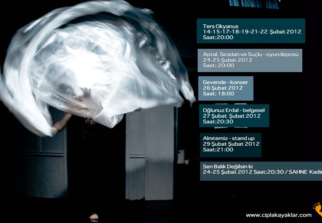 flyer 2012 şubat arka