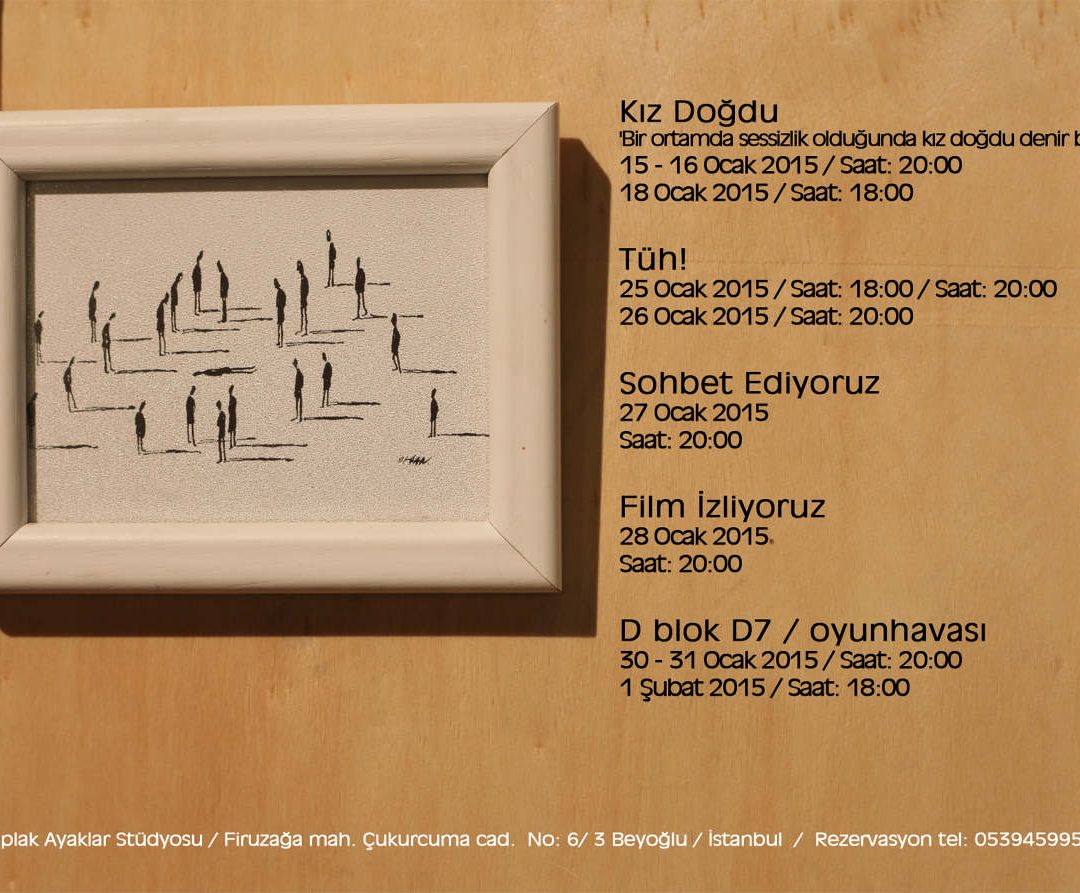 flyer 2015 ocak arka