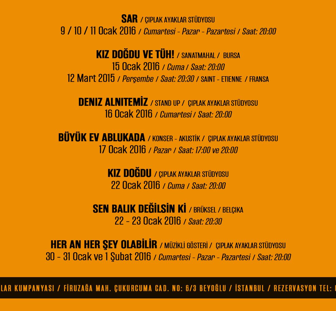 flyer 2016 ocak arka